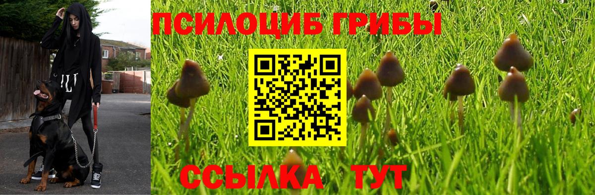 Псилоцибиновые грибы Magic Shrooms  Вход с VPN  Шебекино 